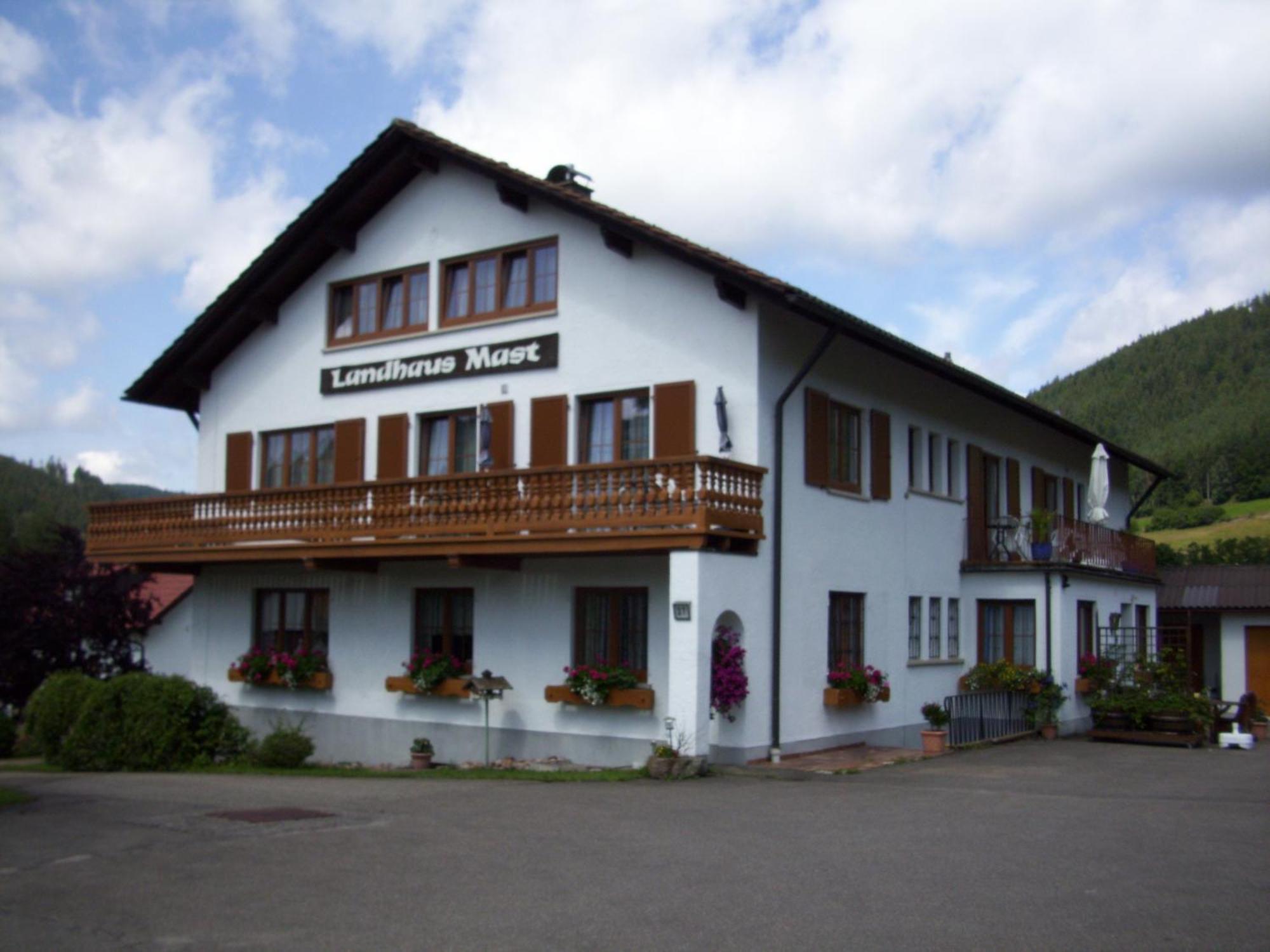 Guest house Mast 2*