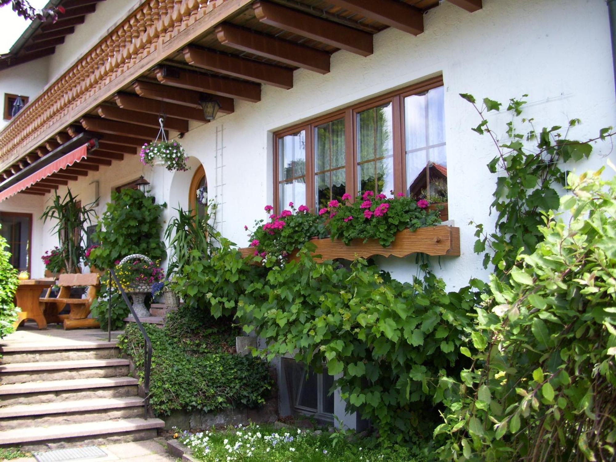 Guest house Mast 2*