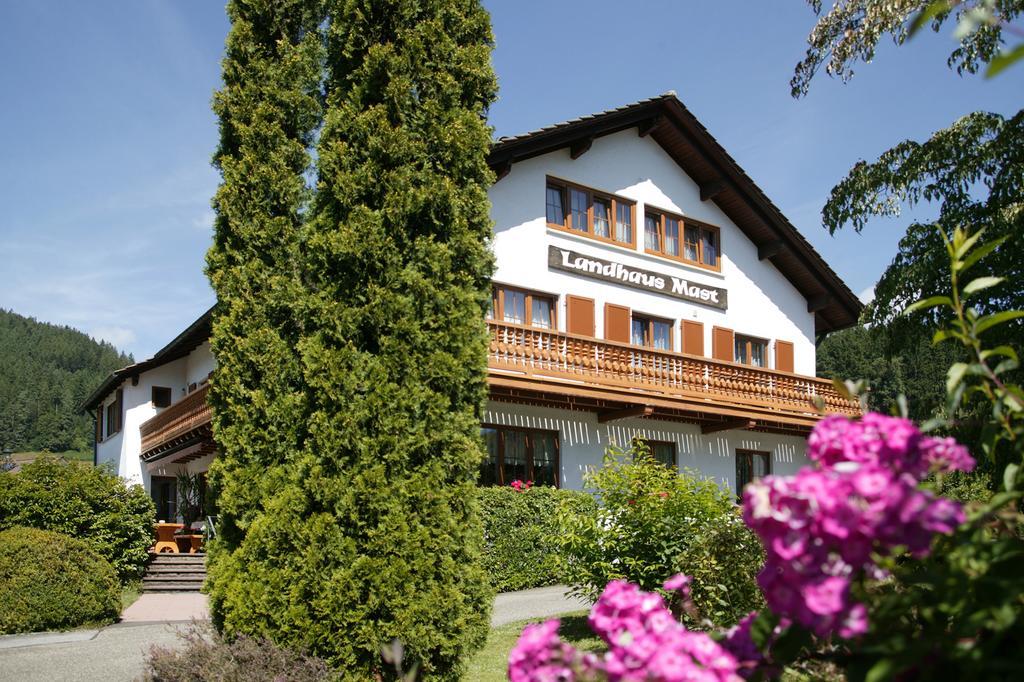 Guest house Mast 2*